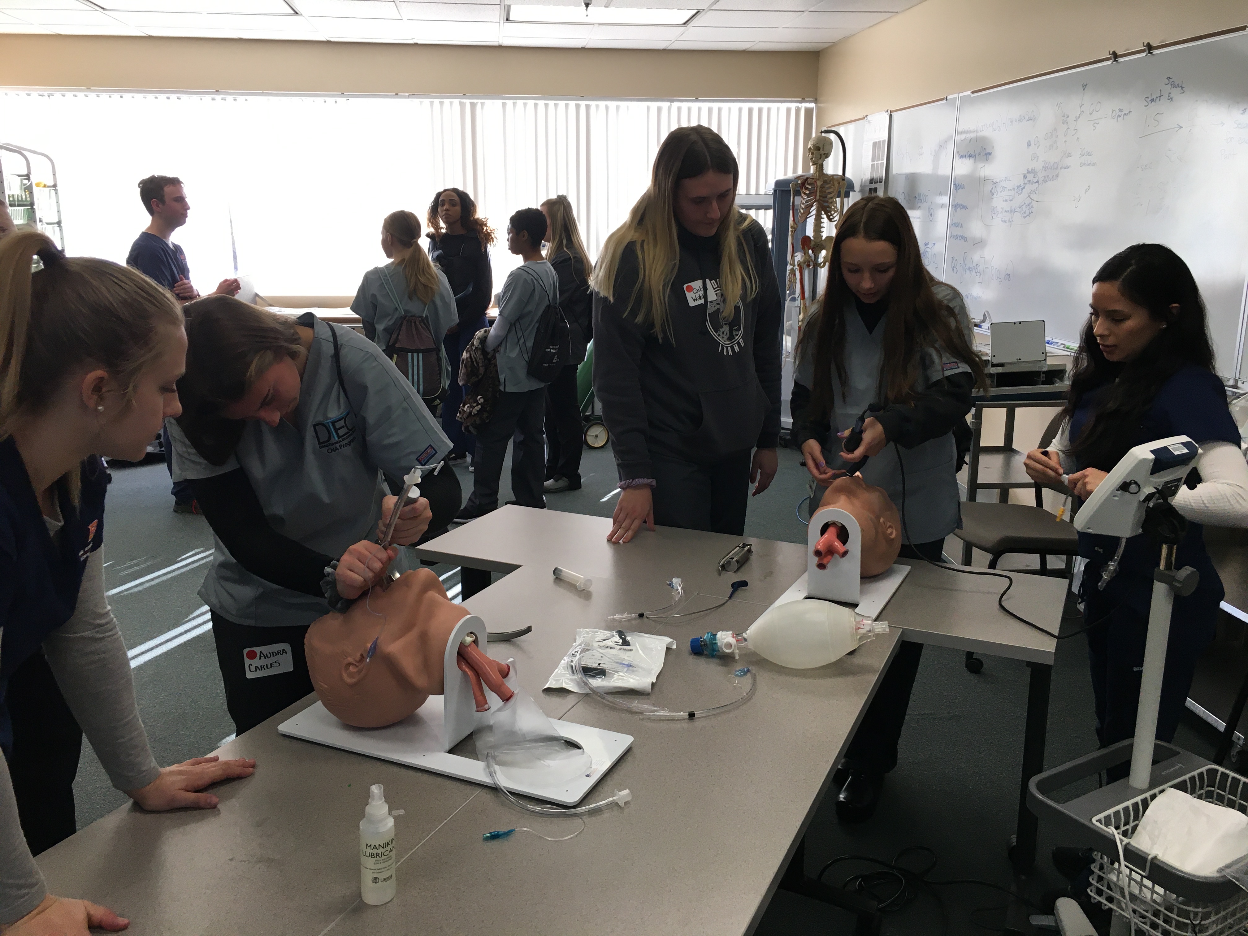 Students using respiratory models