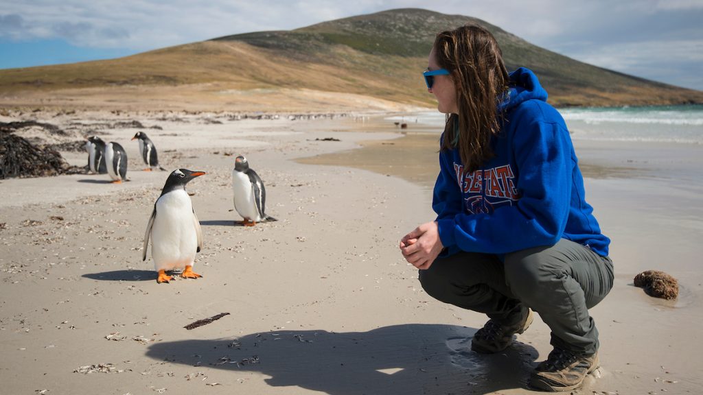 Student crouched on the beach looking back at a penguin