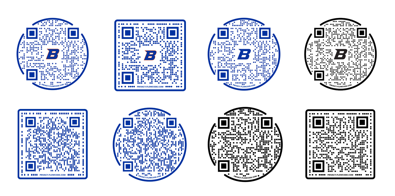Image shows eight examples of QR code choices.