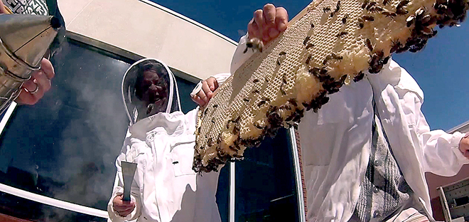 photo of students with bees