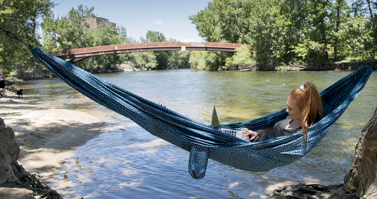 Student sits in a hammock by river using a laptop