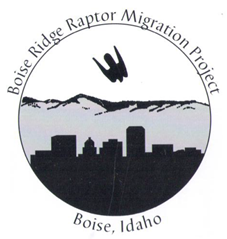 old logo from the boise ridge raptor migraiton project shows a silhouette of a falcon flying over the Boise skyline and mountains