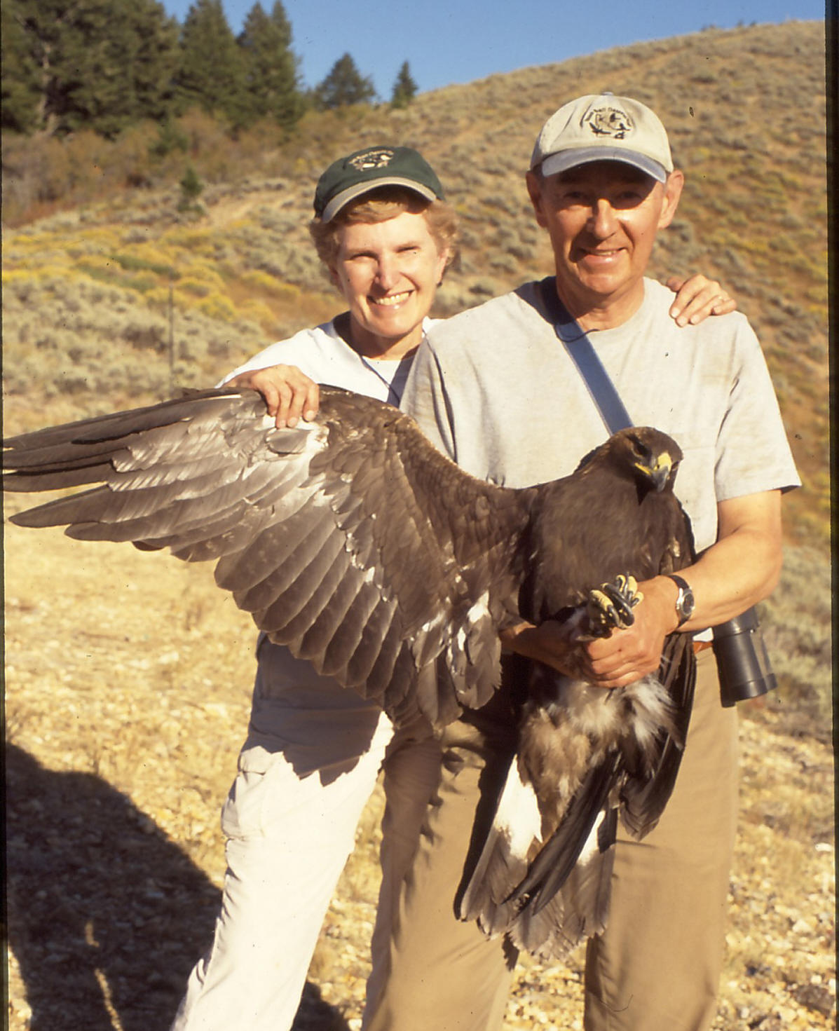 a couple stands holding a golden eagle at the banding station