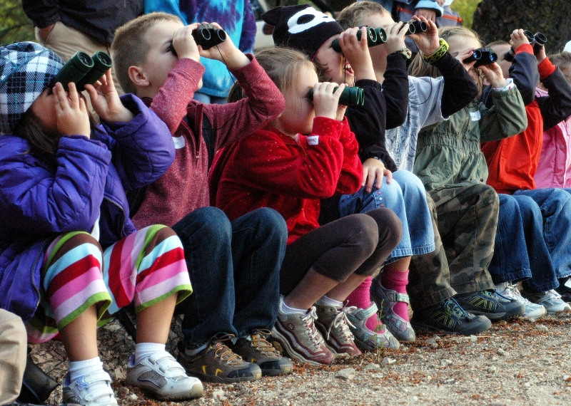 a group of kindergarten age kids sit next to each other on a log. Each child has binoculars raised looking up at something off camera