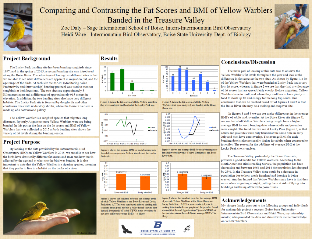 Poster showing graphs of Yellow Warbler fat levels. Yellow Warblers were fatter at the Boise River than at Lucky Peak