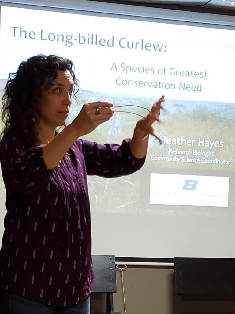 a scientist stands in front of a powerpoint presentation about curlews. She speaks holding a curlew skull to demonstrate their long bills