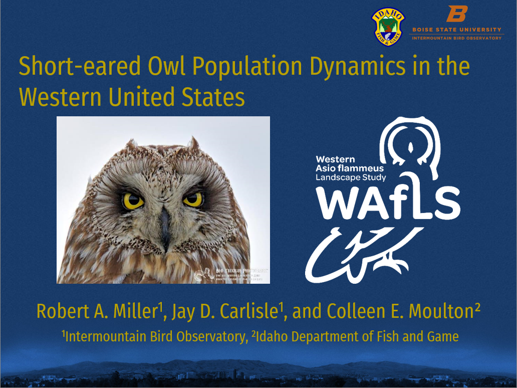 a screens hot of a powerpoint presentation title slide with the Project WAfLS logo and title "Short-eared Owl population dynamics in the western united states"
