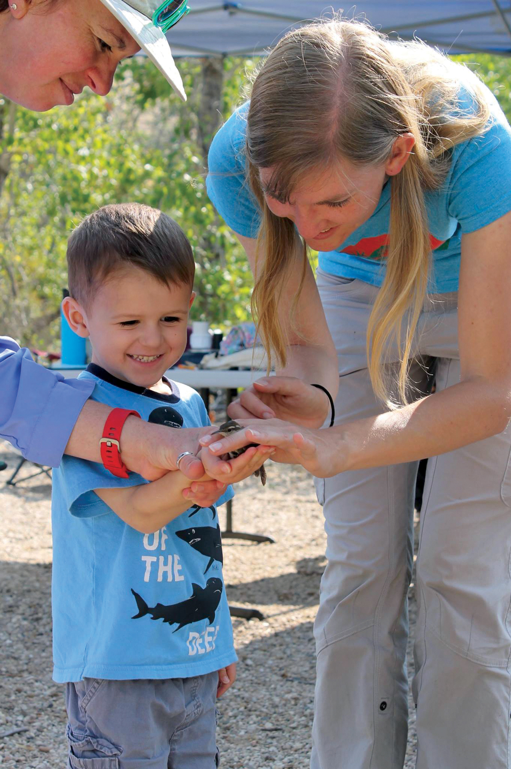 a young boy stands with his mother and holds his hand out as IBO education director Heidi Ware Carlisle places a Bewick's Wren on his palm
