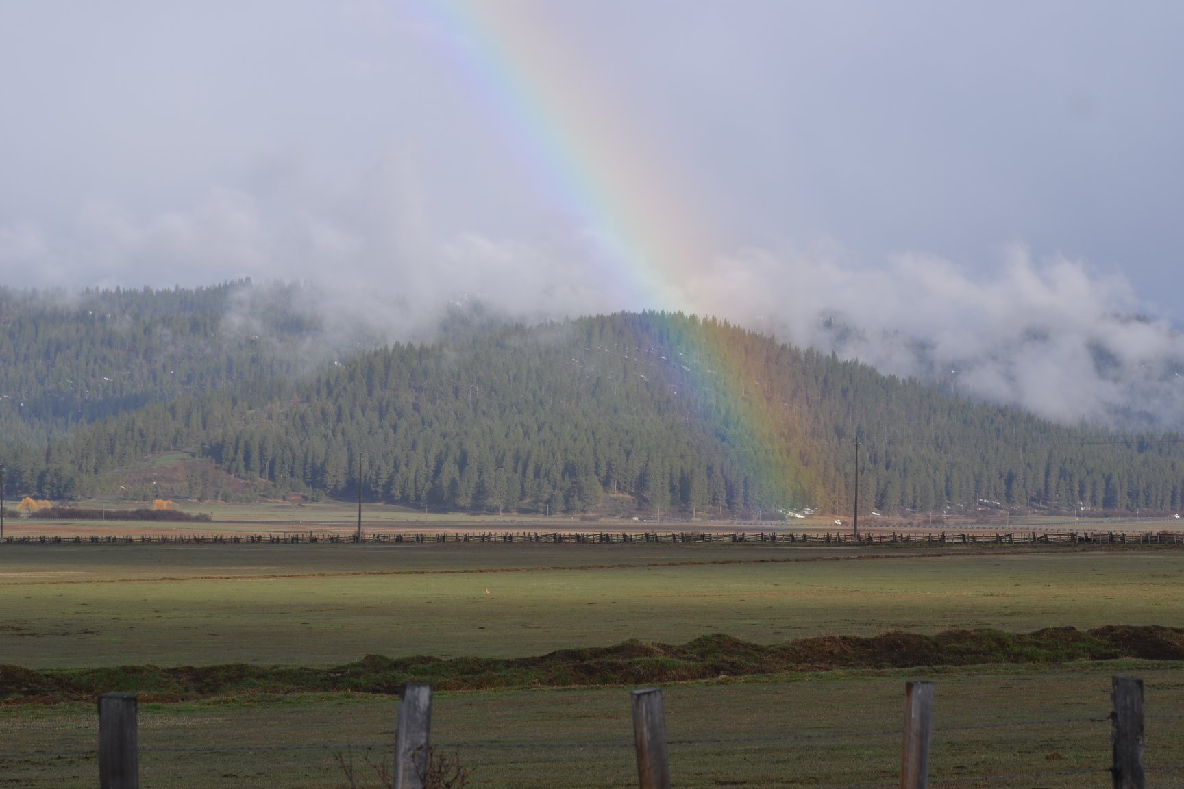 an open grassy meadow with foggy mountains in the background. A rainbow stretches across the sky and a small dot of a Long-billed curlew can be seen walking through the meadow.