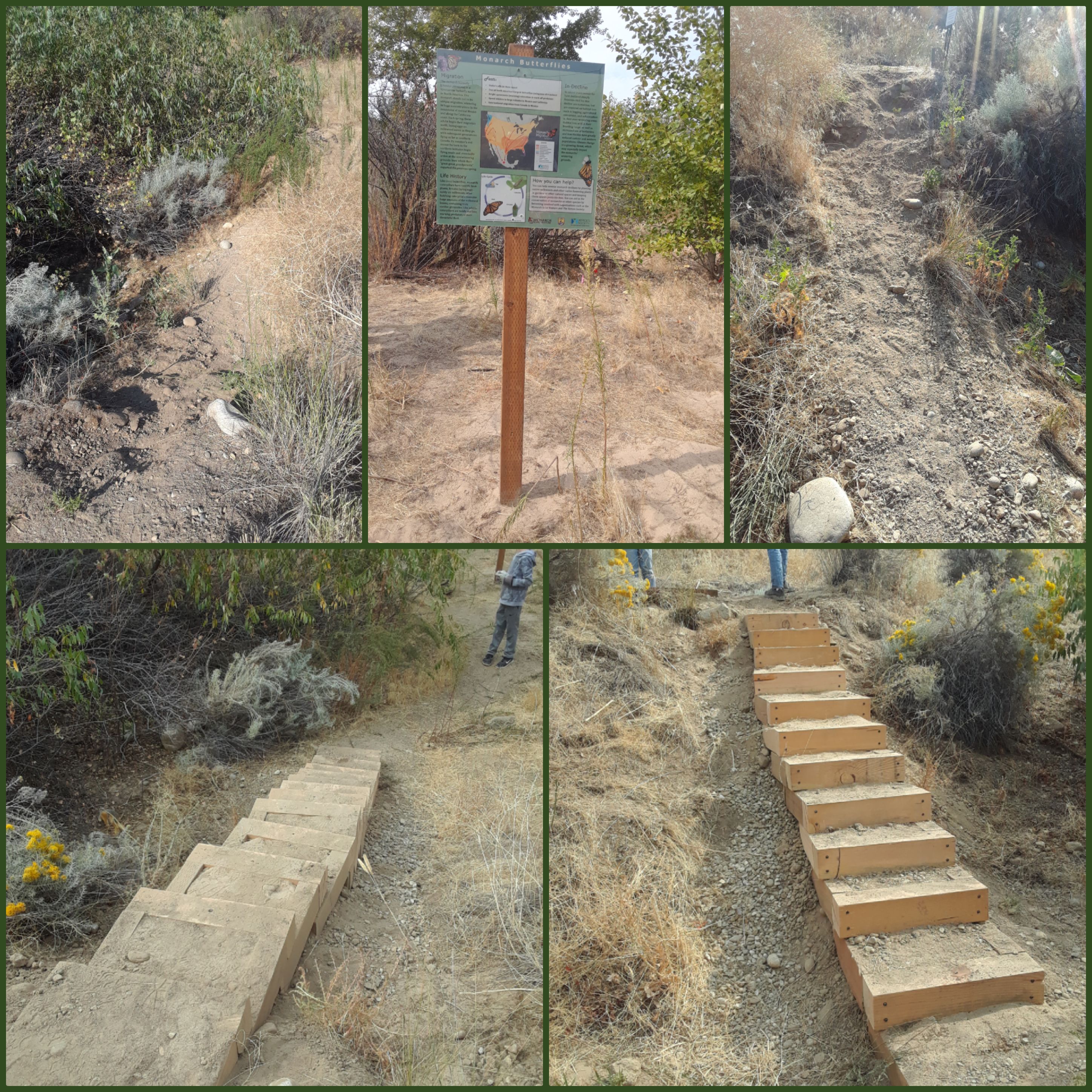 a photo collage of wooden steps installed in a hillside including before and after photos