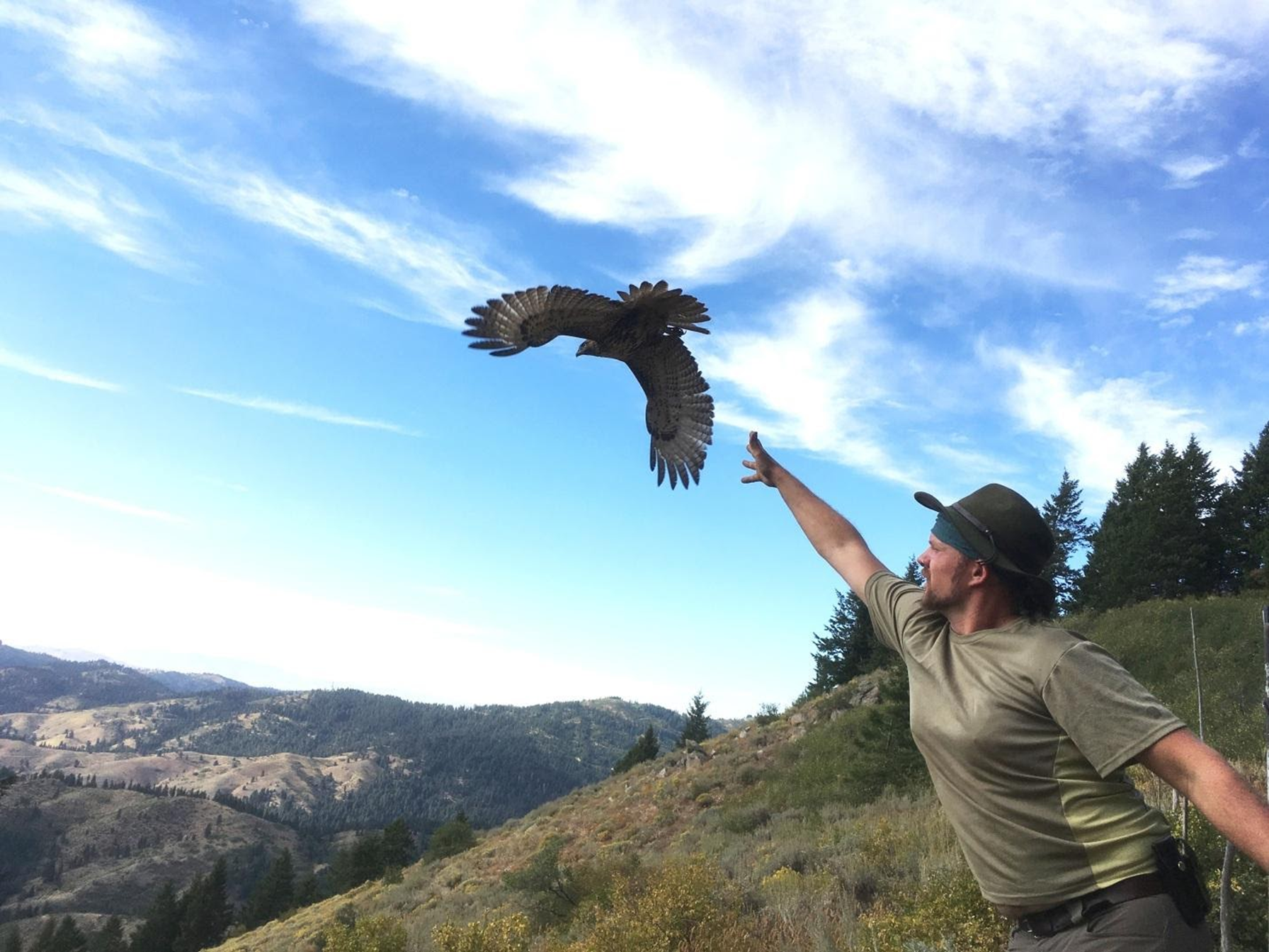 a young biologist stands with his arm outstretched and hand open. a red tailed hawk with wings spread flies away with an expansive blue sky and the Boise mountains in the background