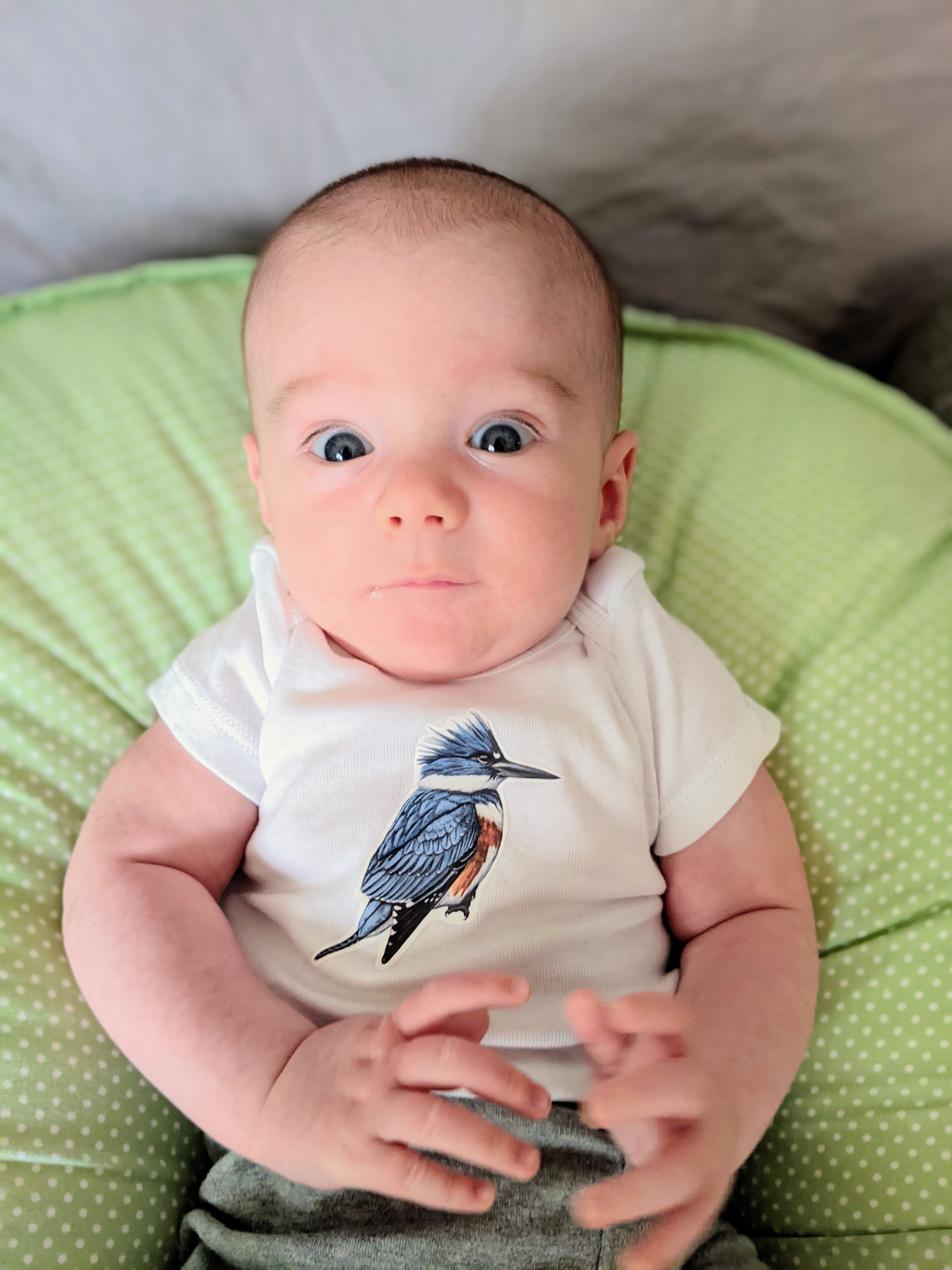 a three month old baby wearing a shirt with a bird on it looks up at the camera