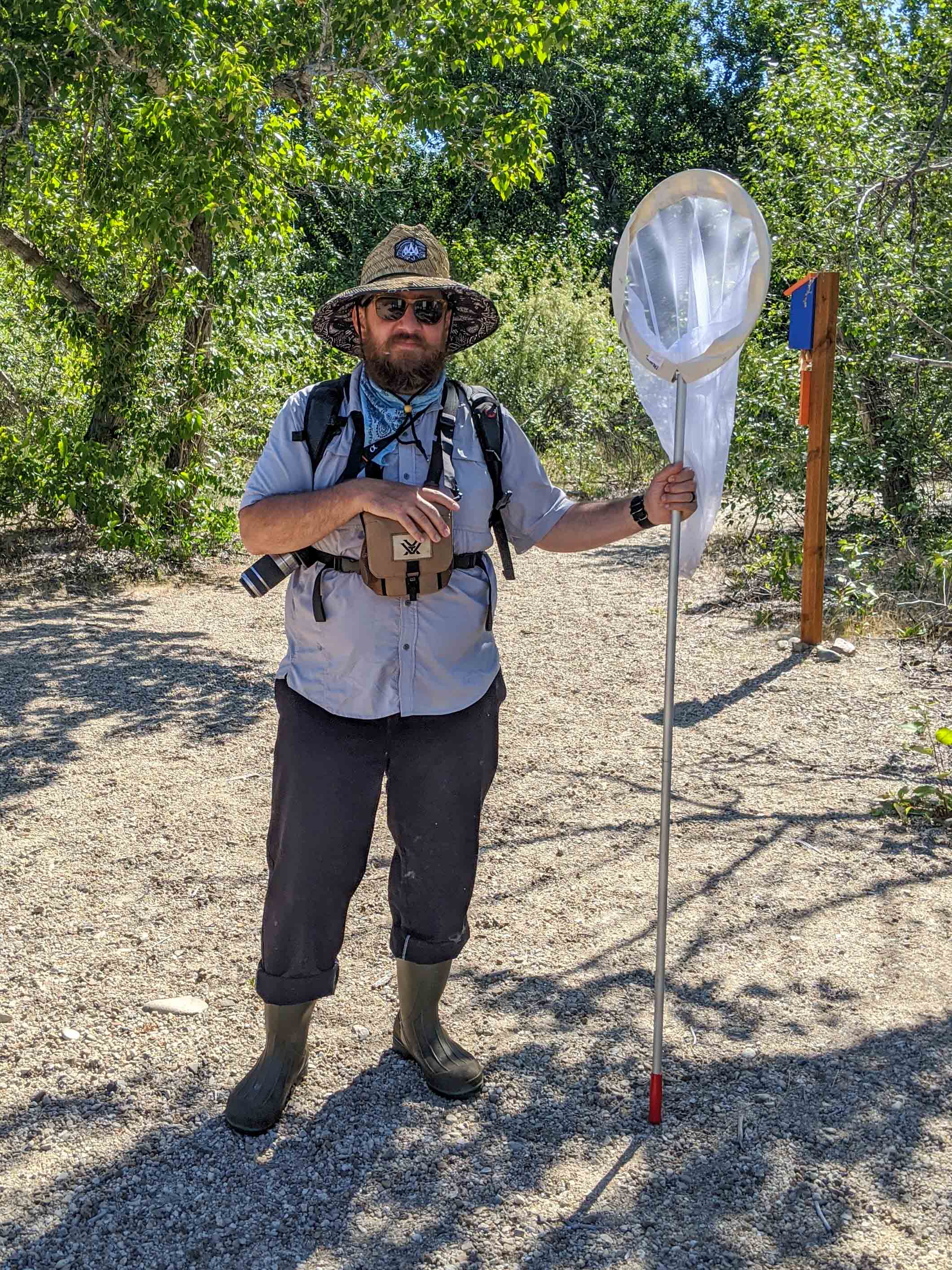a tall man with a beard stands under cottonwood trees wearing rubber boots and a large brimmed straw sunhat, holding an insect net