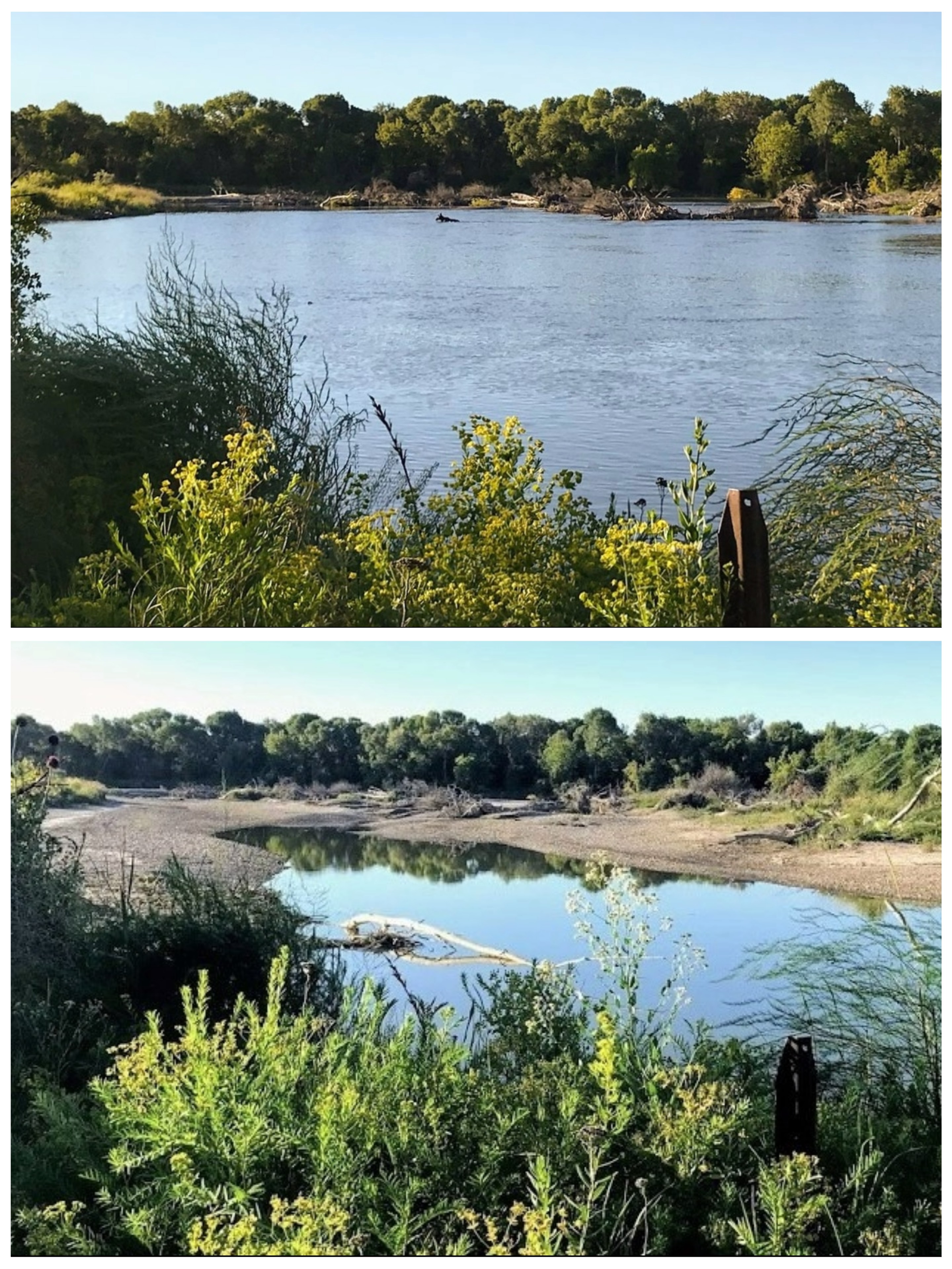 the top photo shows a wide view of a river with a small dot, which is a moose's head sticking above the water. the bottom image shows the same trees, but the view is about half land rather than mostly water