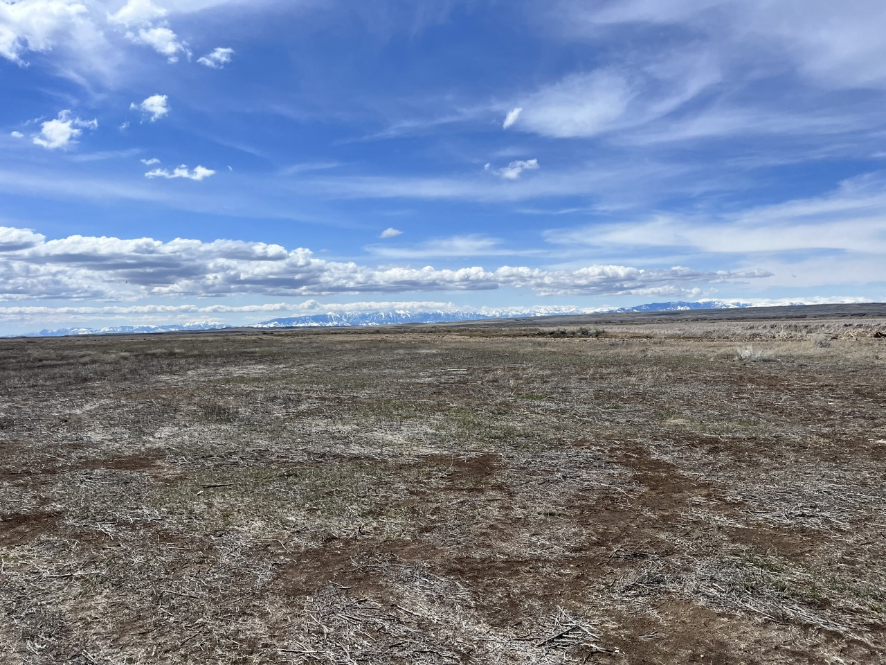 an expansive view of Camas NWR showing vast open fields and blue sky with whispy clouds