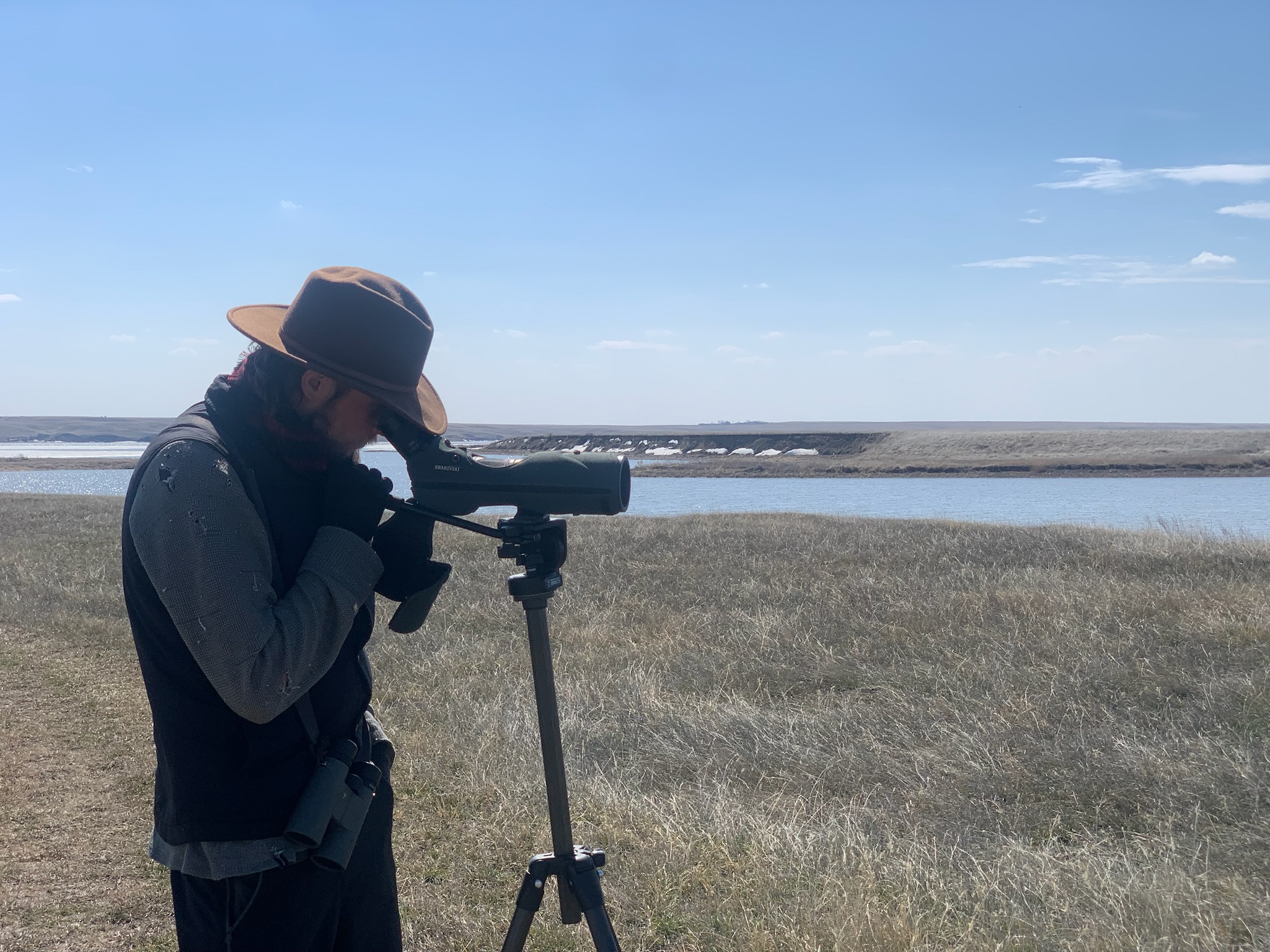 A biologist is looking through a spotting telescope across the landscape and water. blue sky and white clouds are in the background and there is dry brown vegetation in the foreground.