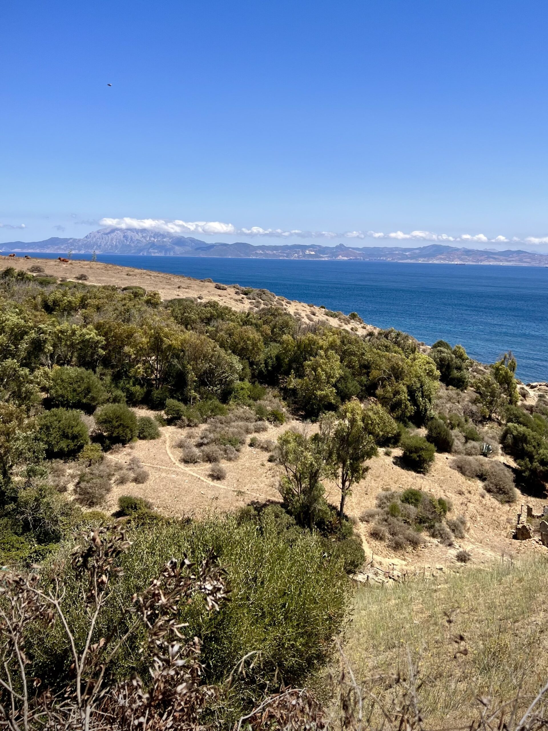 a view across the Strait of Gibraltar. In the foreground is dry dusty scrub habitat. in the center is the blue water of the strait. And behind in the distance is the other shore with some clouds and mountain ridges