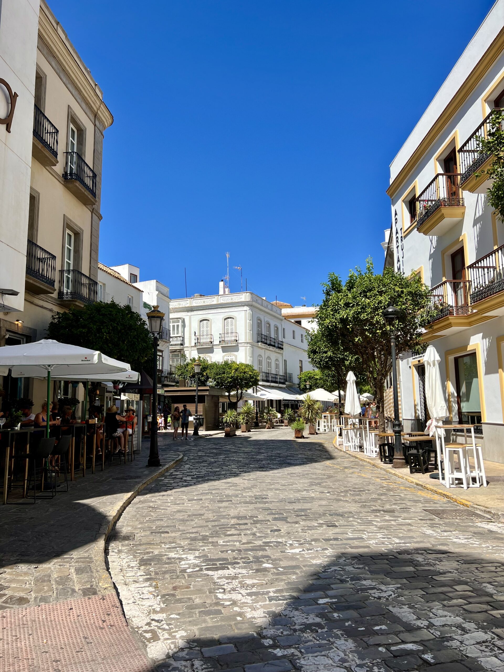 a photo of white and cream colored Mediterranean style buildings and a cobblestone street. the buildings have the classic european look with wrought-iron balconies, window boxes, and plants. A few trees that look like olive trees line the street.