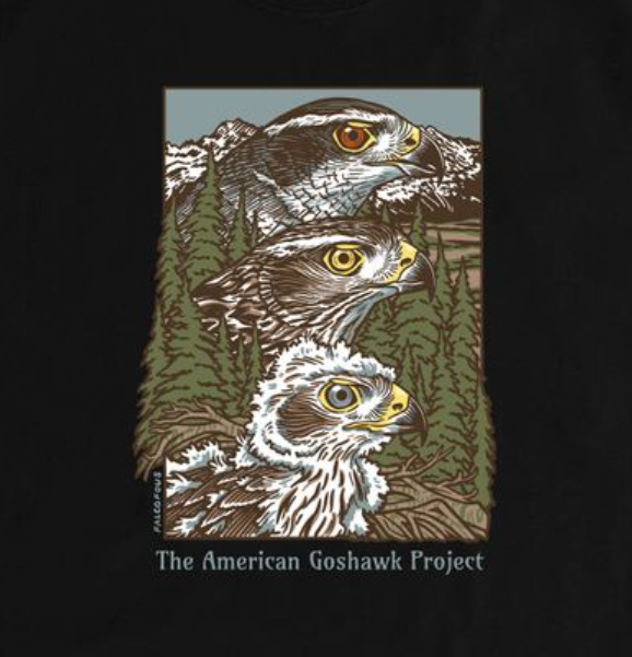the new Goshawk graphic shirt designed by Emma. Three goshawk heads in profile, lined up vertically. The bottom is a nestling goshawk with grayish eyes and fluffy down. The center is a juvenile goshawk with brown plumage and yellow eye. The top is an adult Goshawk with striking black and gray plumage and red eye. The background shows goshawk habitat: conifer forest and snowy mountains