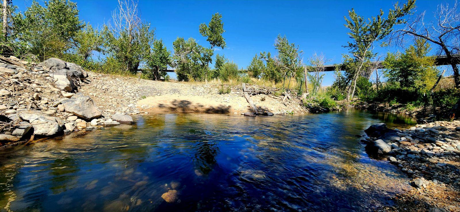 a landscape view shows the cool and shady river side channel, surrounded by tall cottonwood trees, newly-planted shrub seedlings, and rocky banks. The highway 21 bridge is just visible in the background through the tree canopy