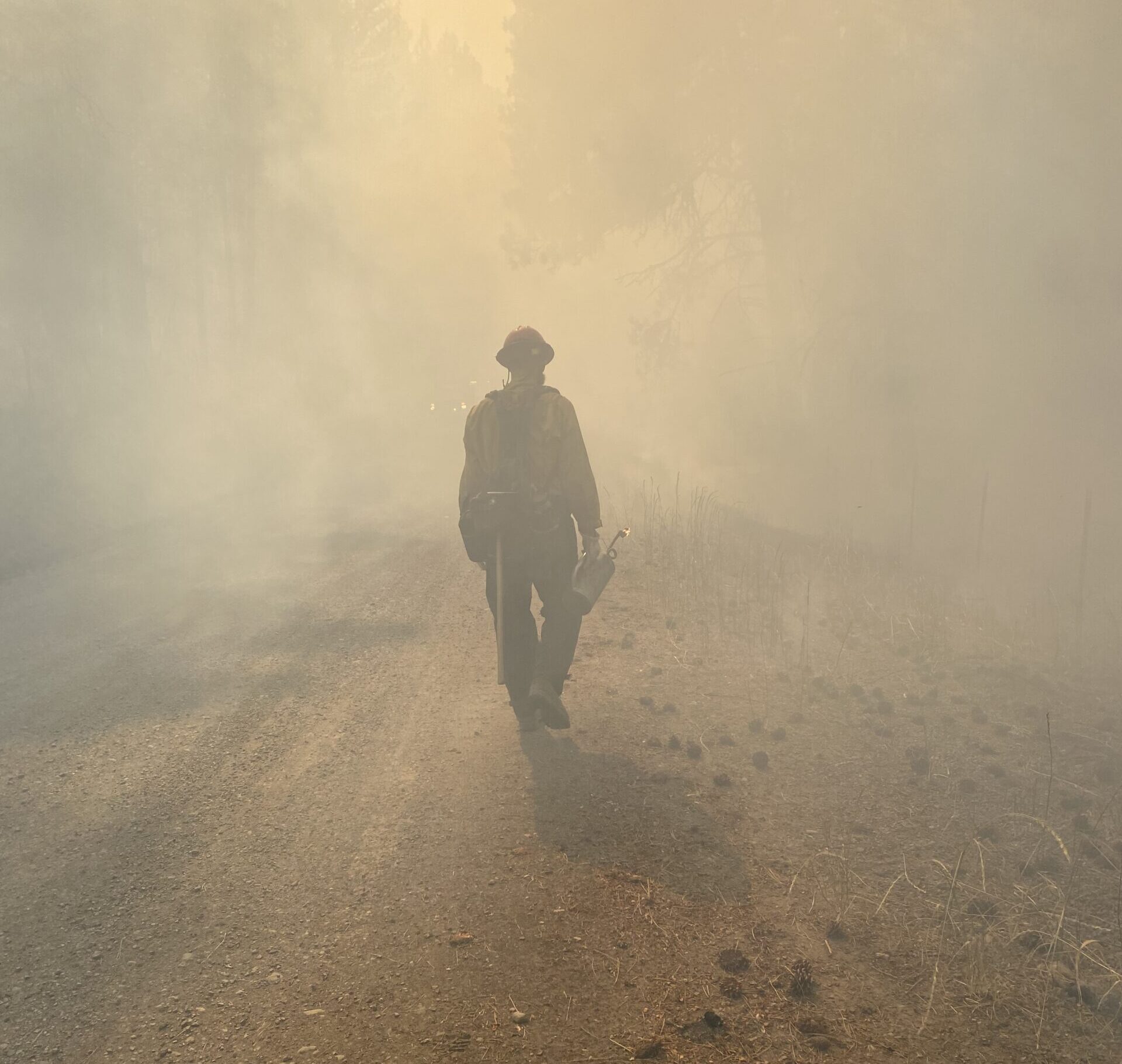 Firefighter walks along forest path surrounded by smoke. 