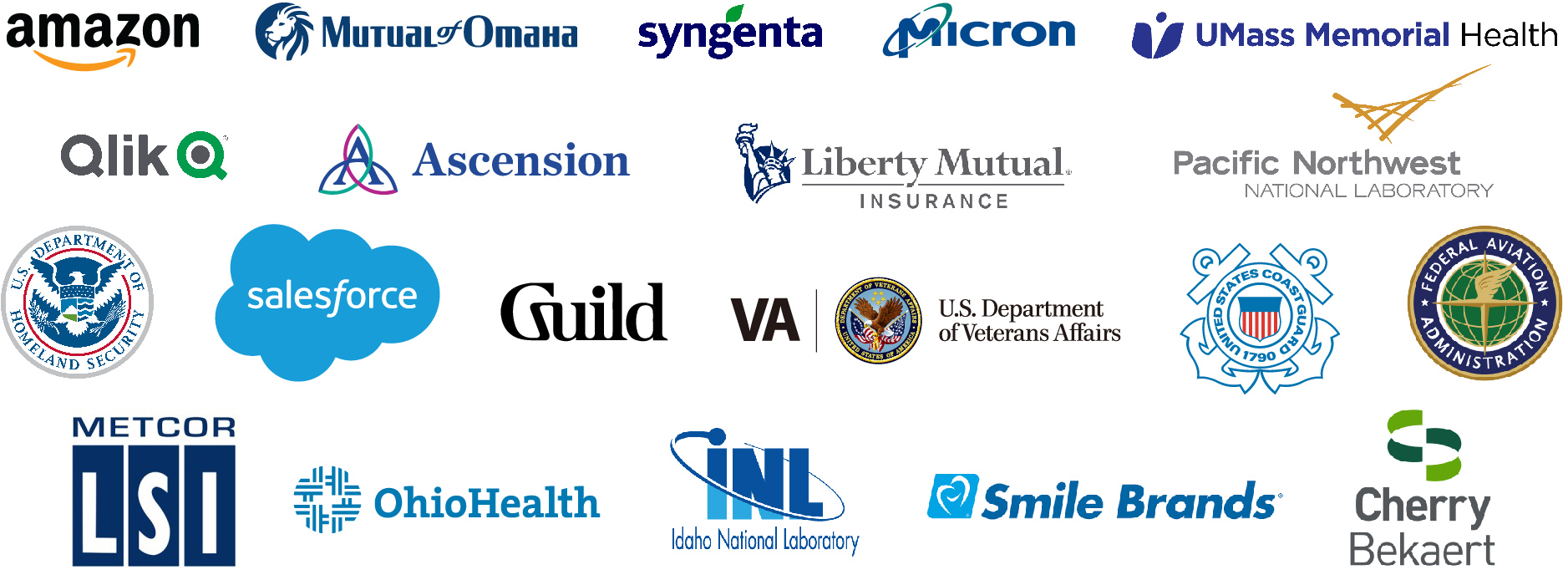 Here are some of logos of the companies where OPWL alumni work.