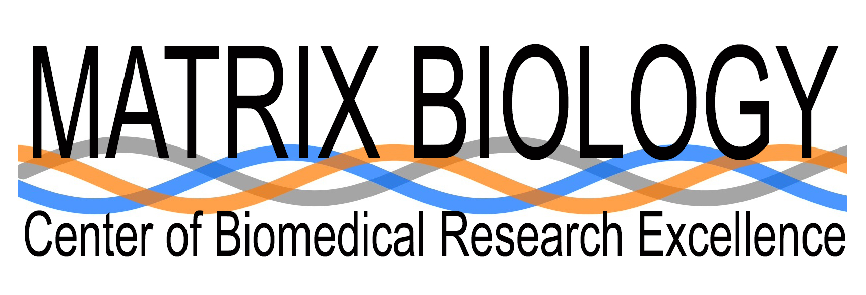 Matrix Biology Logo