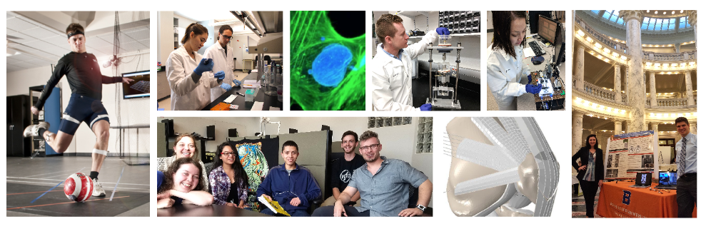 collage of biomedical students and resources