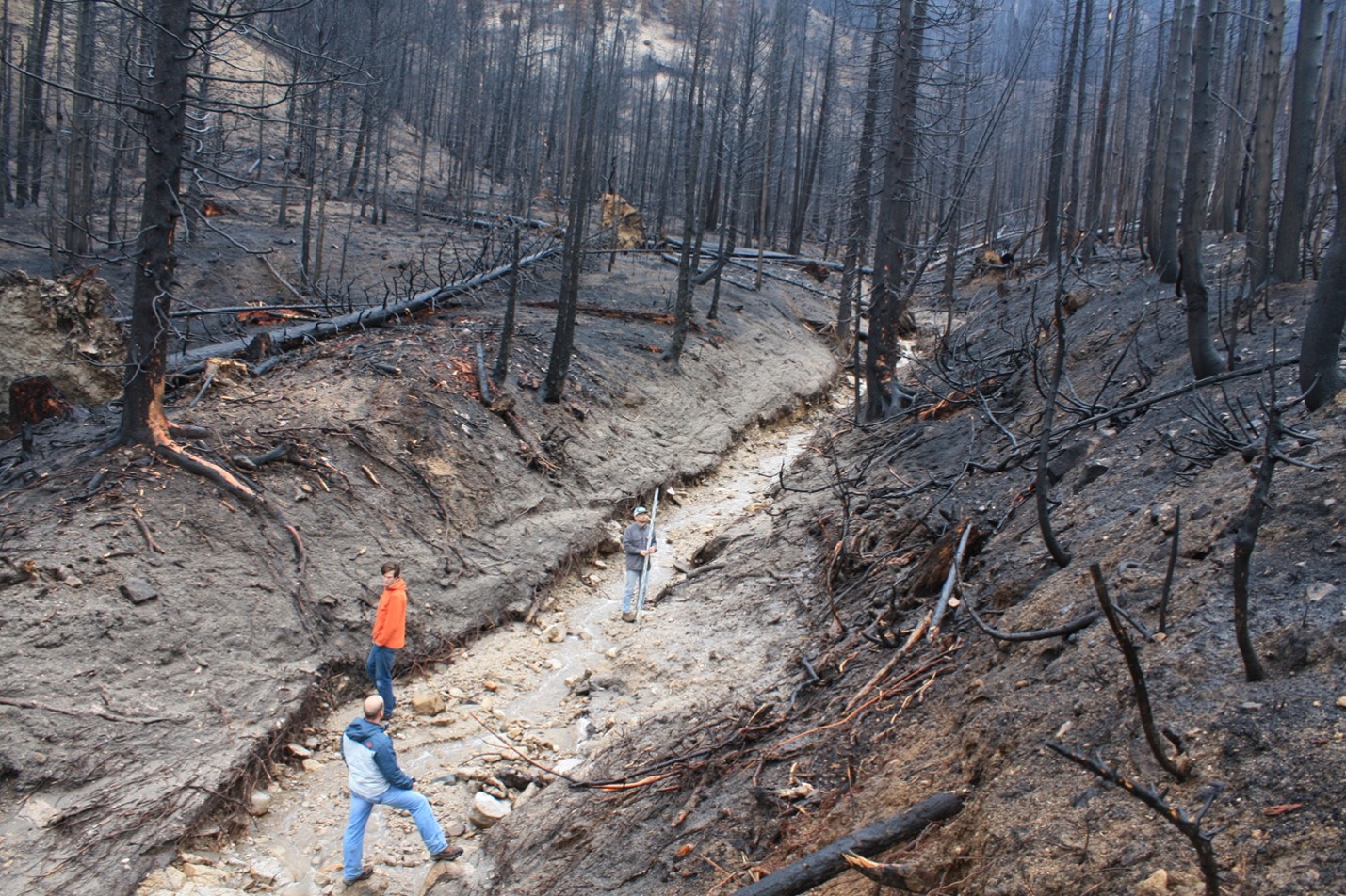 Photo of Geoscience studnets working in a wildfire damaged area.