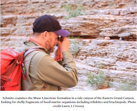 Schmitz esamines the Muav Limestone formation in a side canyon of the Eastern Grand Canyon