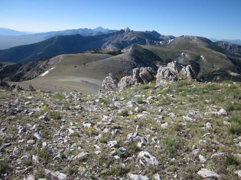 Lemhi Range vista of rocks and peaks
