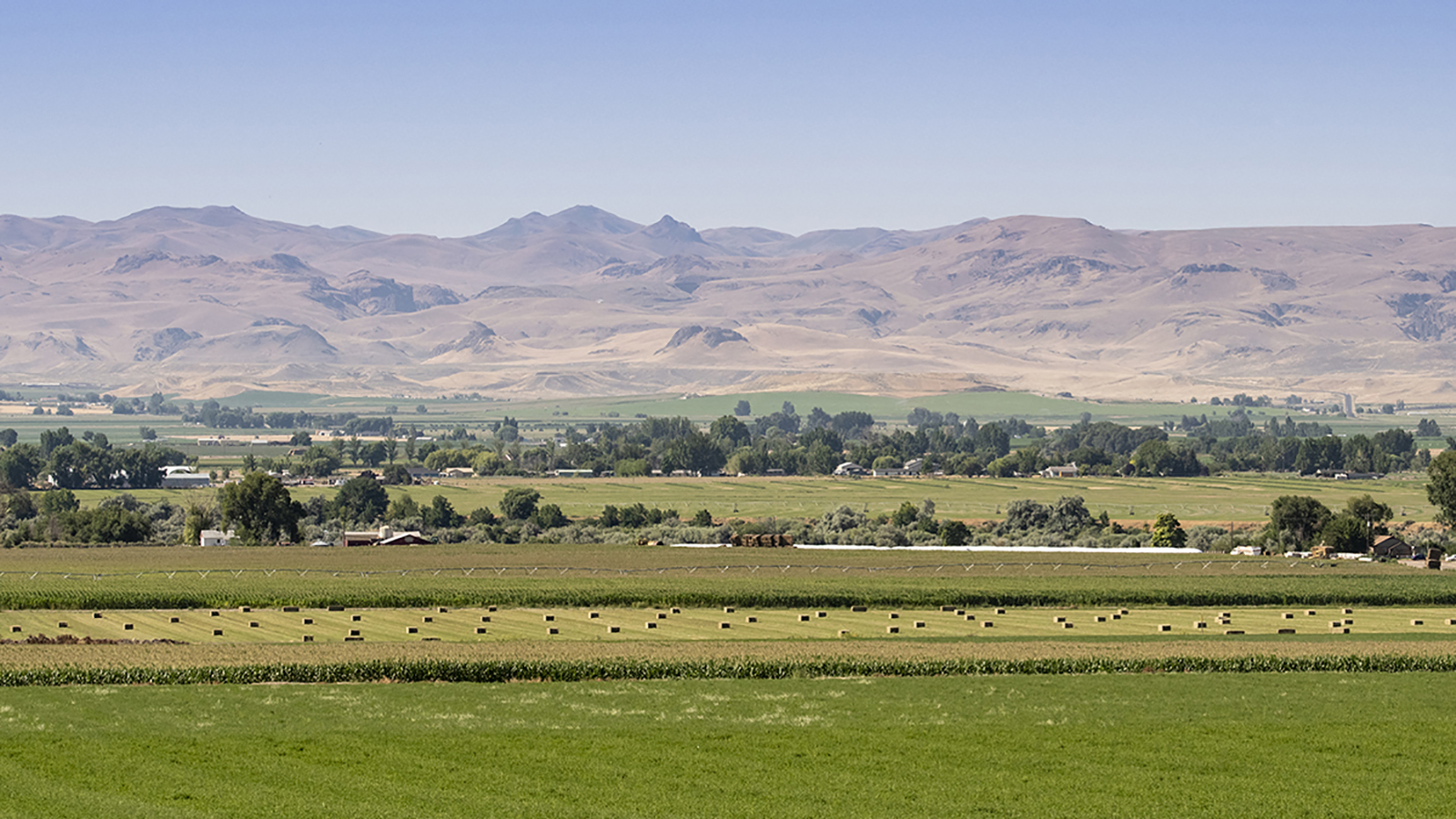farmland and mountains in the background