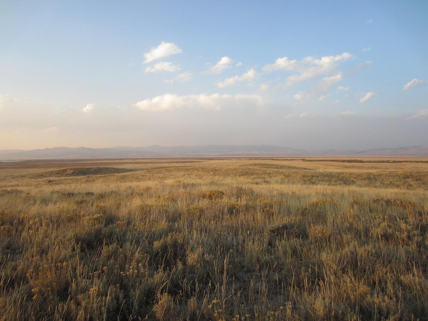 Rangeland extending out to the horizon at sunset in Fall with foothills in the distance