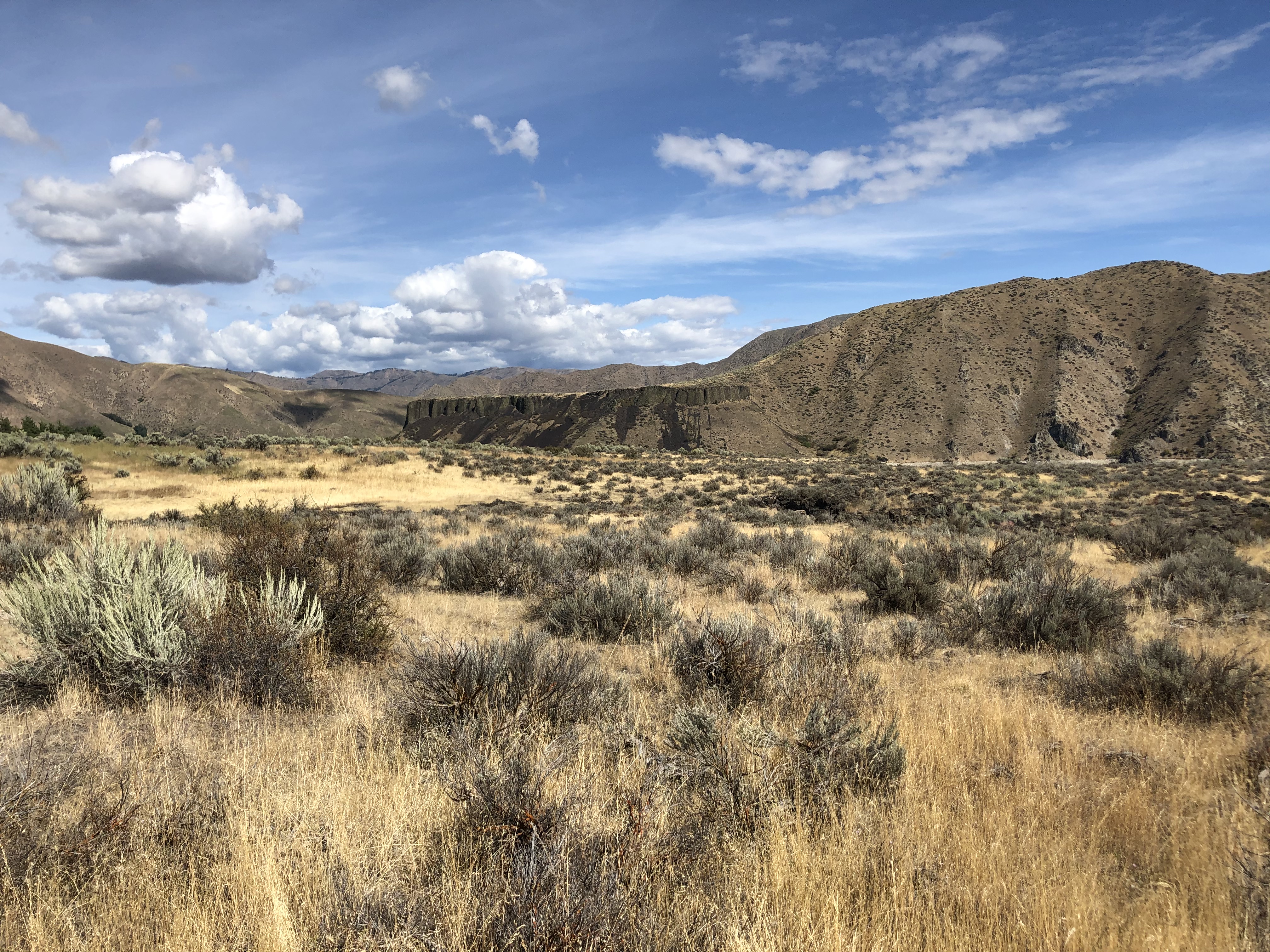 Idaho landscape featuring sagebrush and grasses, with foothills in the background