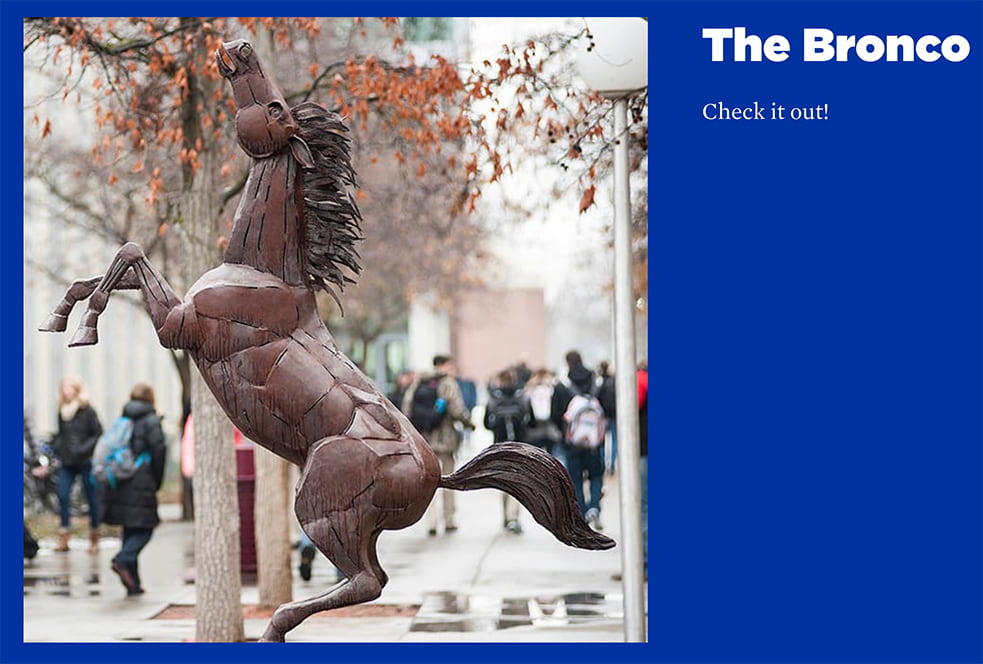 Image + Text panel displaying correct crop of Bronco sculpture