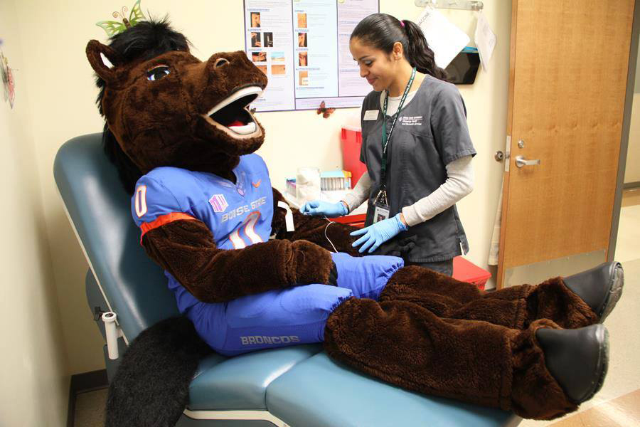 Buster Bronco getting a health screening / check up