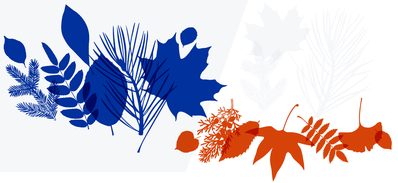 blue and orange leaf illustration