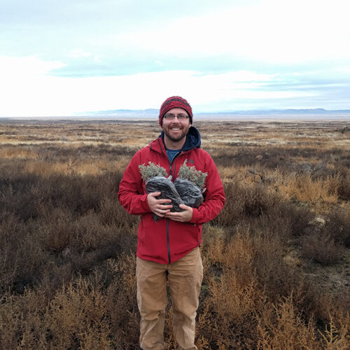 Man in red coat stands outside in sagebrush steppe, surrounded by acres of sagebrush. He holds two packages of collected sagebrush greens in his hands.