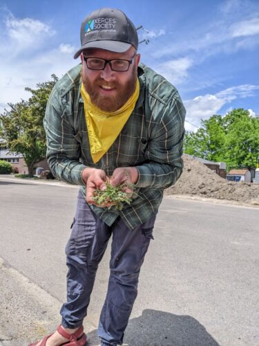 student in urban area holds small leafy green plant. He is wearing a baseball cap, yellow ascot and wearing a green plaid shirt and cargo pants.