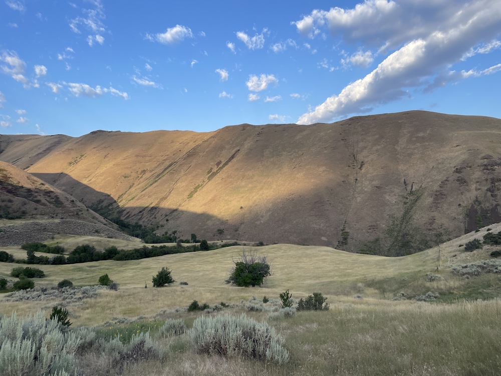 wide view of Idaho rangeland mountains and green sagebrush