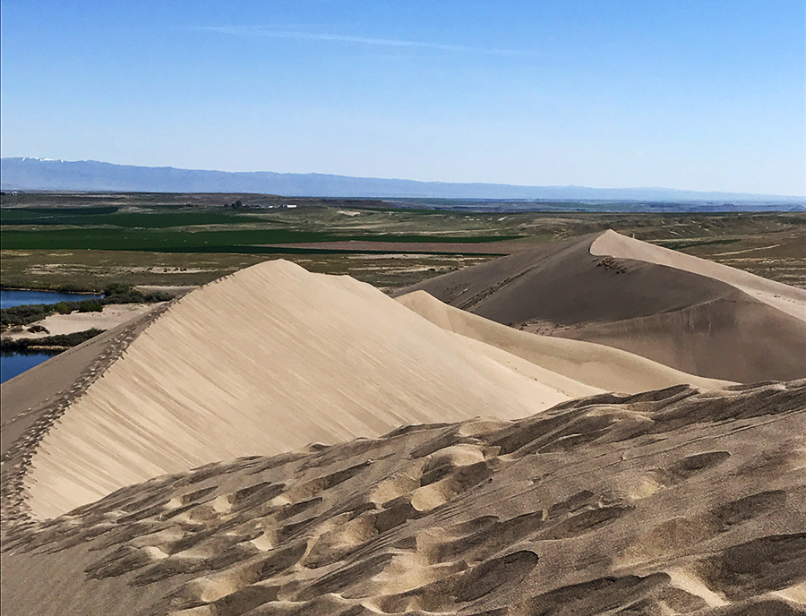 view of the Bruneau Sand Dunes