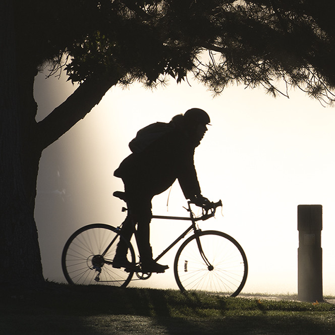 A bicyclist rides through morning mist