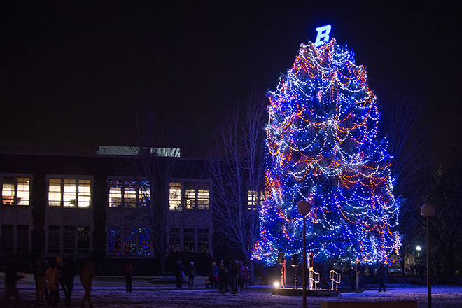 A large tree decorated in blue and orange lights
