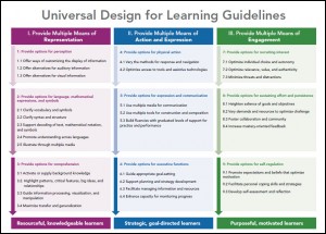 Small image of the flyer "Universal Design for Learning Guidelines."