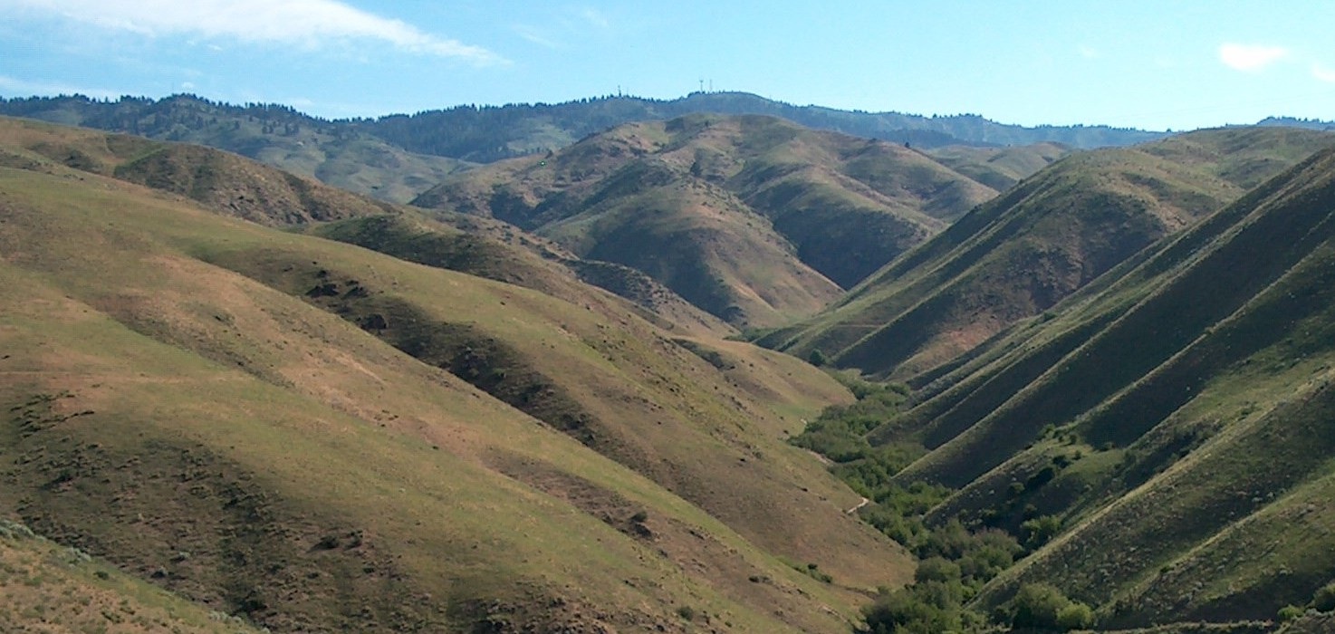 North-South facing slopes at lower DCEW