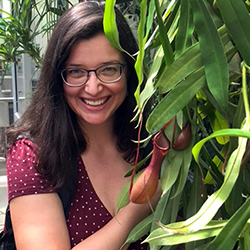 Leonora Bittleston, assistant professor of Biological Sciences at Boise State in a greenhouse standing next to a pitcher plant known formally as Nepenthes from Southeast Asia. (Photo by Jessica Bernardin)