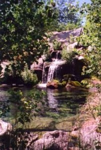 waterfall at MK Nature Center