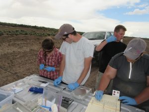 students doing field work