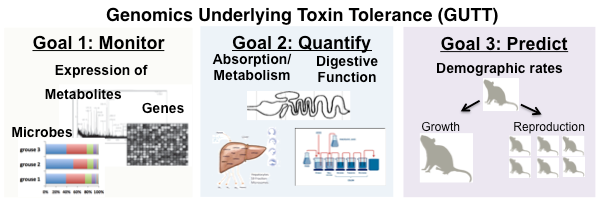 Infographic of Genomics Underlying Toxin Tolerance (GUTT)