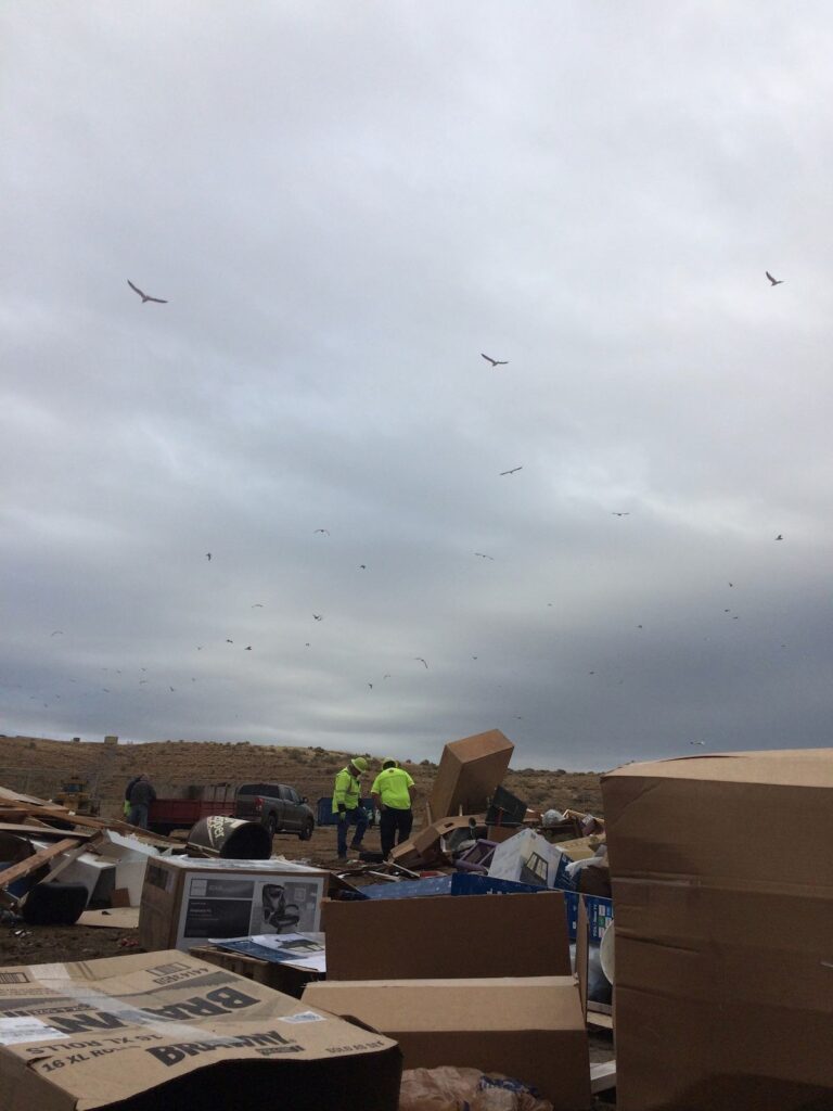 Birds fly above the landfill where two people are standing looking down